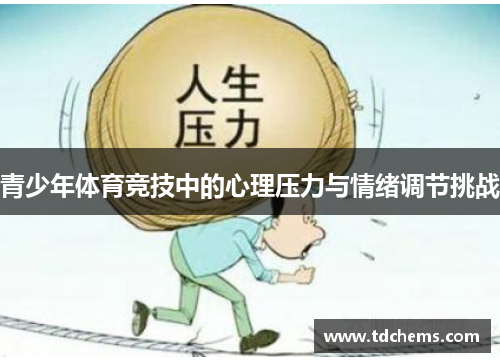 青少年体育竞技中的心理压力与情绪调节挑战 青少年体育竞技中的心理压力与情绪调节挑战