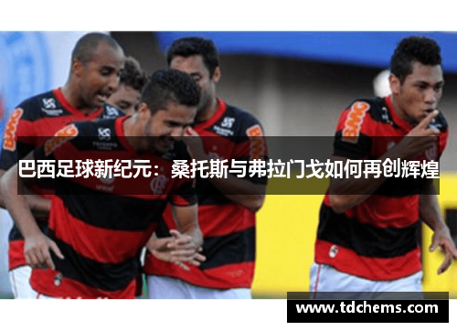 巴西足球新纪元：桑托斯与弗拉门戈如何再创辉煌