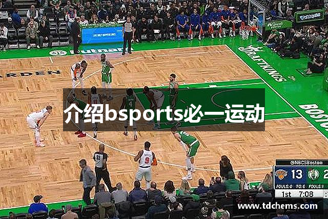 介绍bsports必一运动